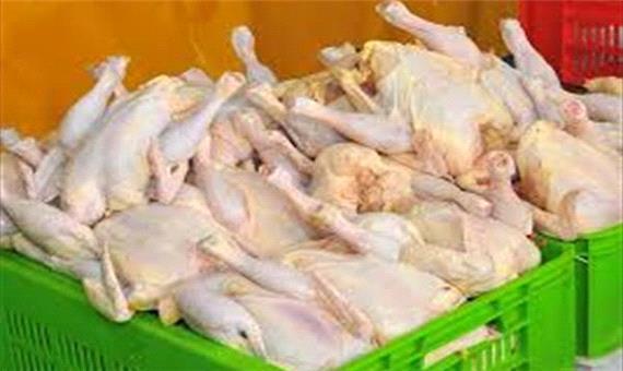 گران فروشی  مرغ  تایید  شد