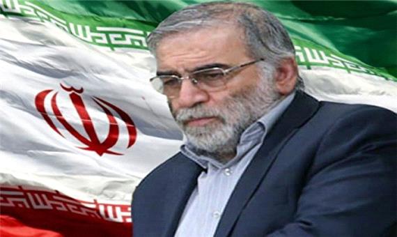 حکیم: ترور شهید فخری زاده خللی در پیشرفت ایران ایجاد نمی‌کند