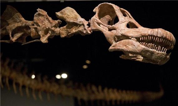 کشف بقایای قدیمی‌ترین دایناسور موجود در کره زمین