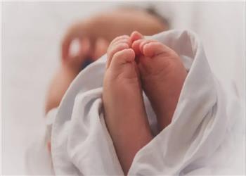 شناسایی ژنی که سرعت رشد را افزایش میدهد، اما بهایش افزایش خطر سرطان است